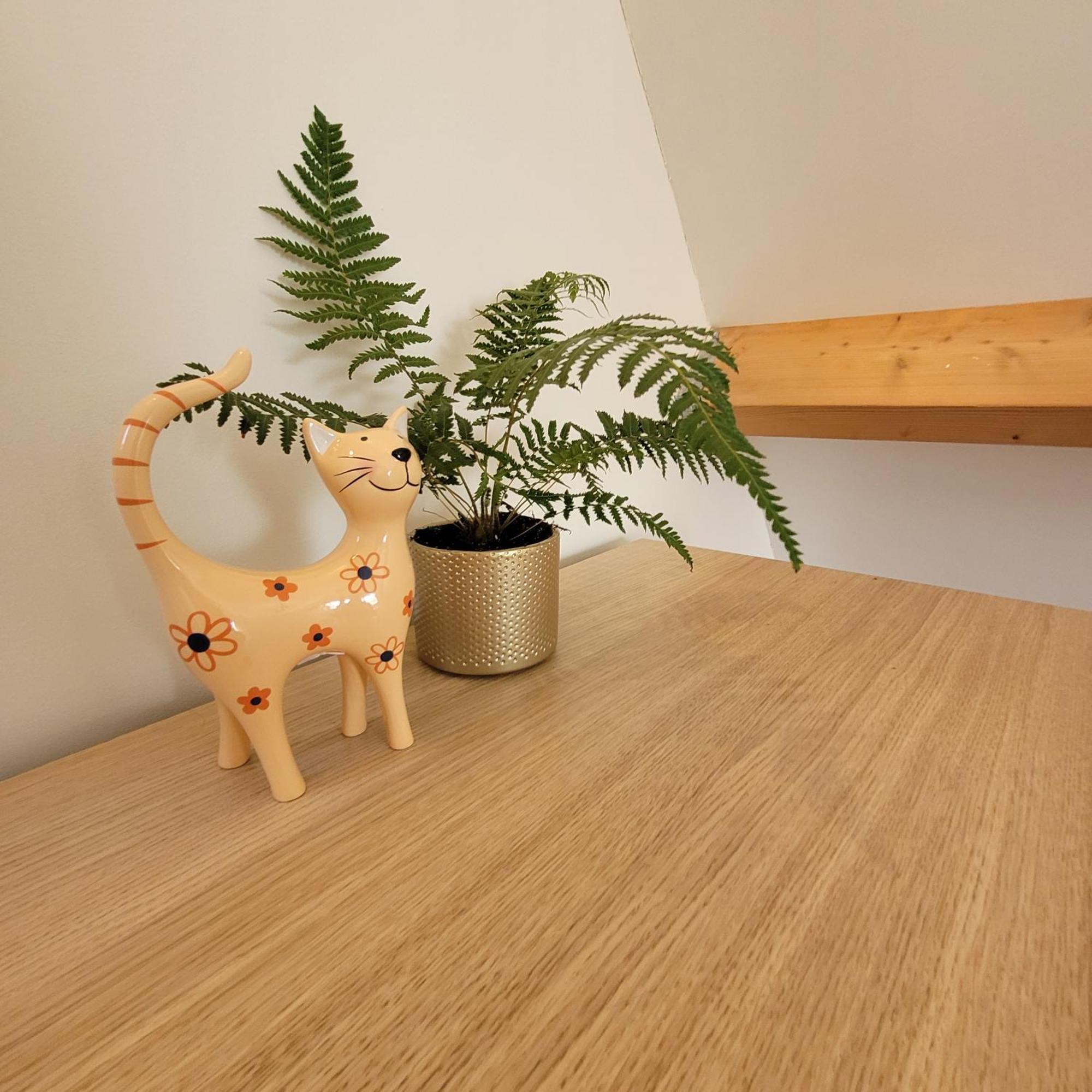 Ecolodges De Dreef Guesthouse Renesse Zewnętrze zdjęcie